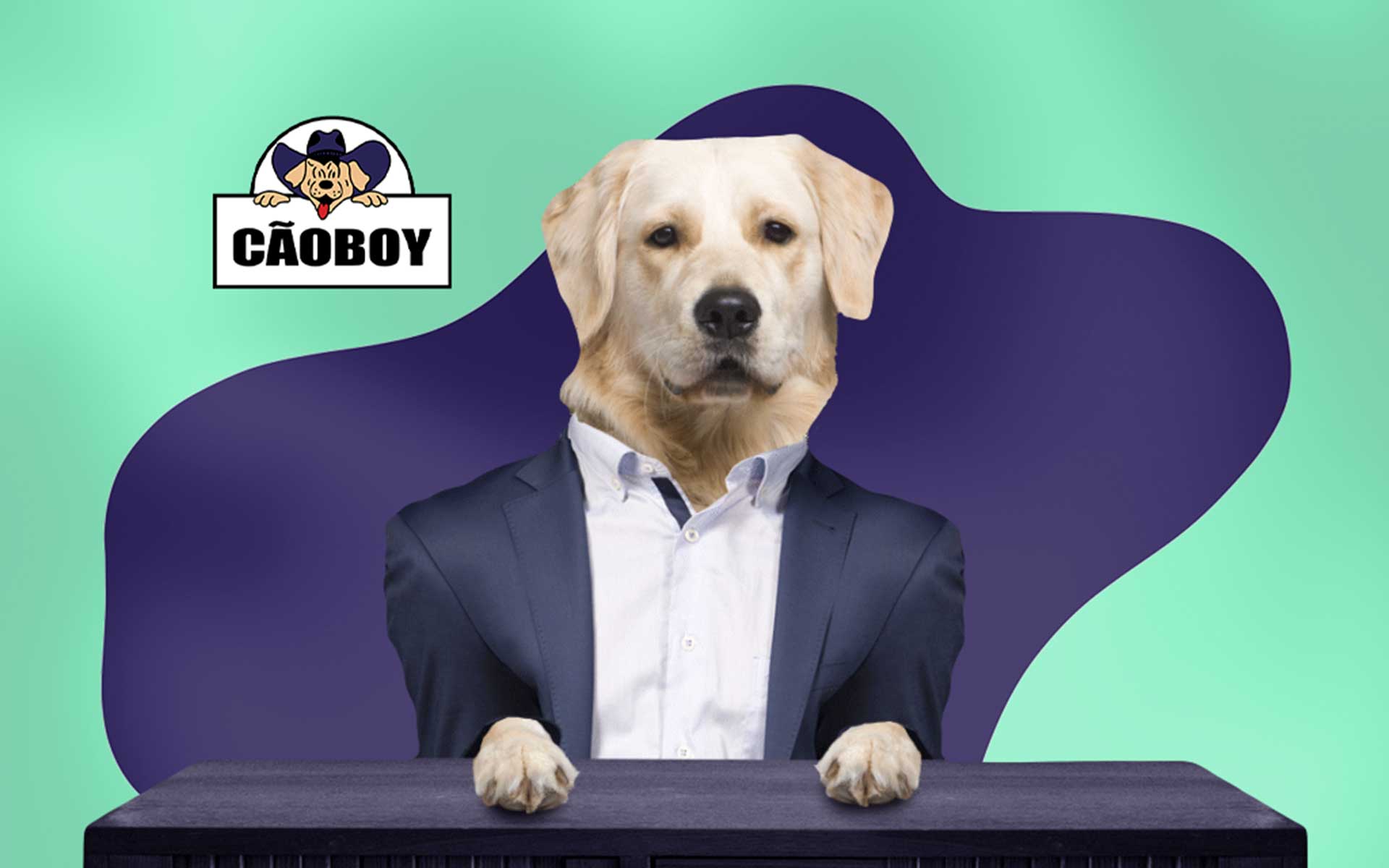 Pousada Cãoboy