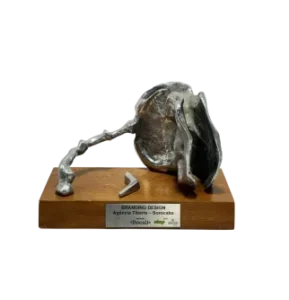 Reconhecimento da Tiberis em premiação publicitária de 2020